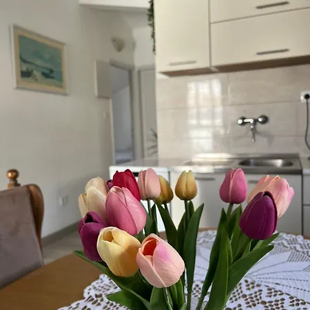 Apartment Marinac *